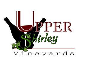 Logo Design by y0140