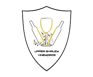 Logo-Design von Sleeping Sun für dieses Projekt | Design: #2848009
