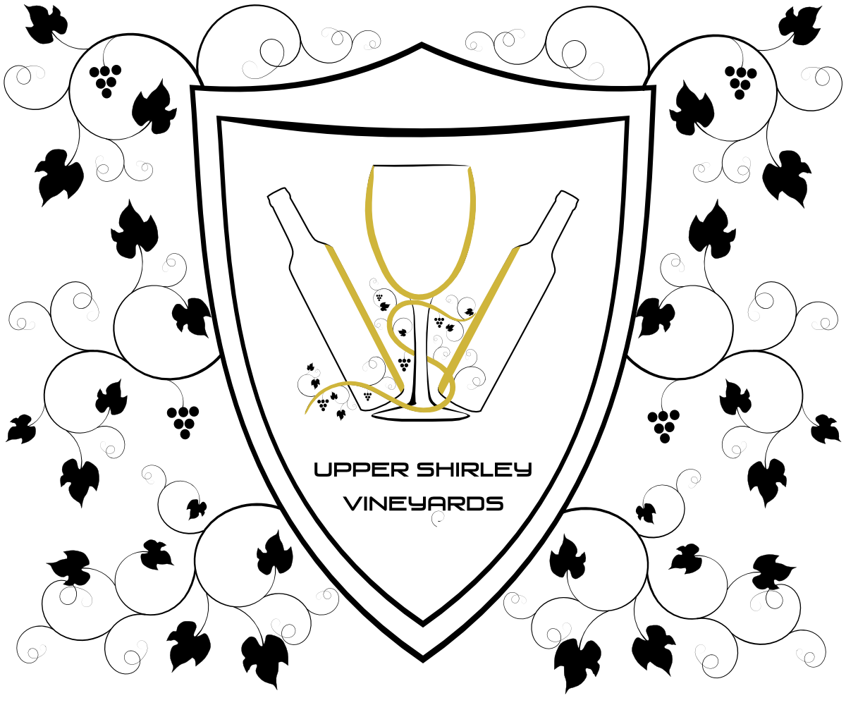 Design de Logo par Sleeping Sun pour ce projet | Design #2848017