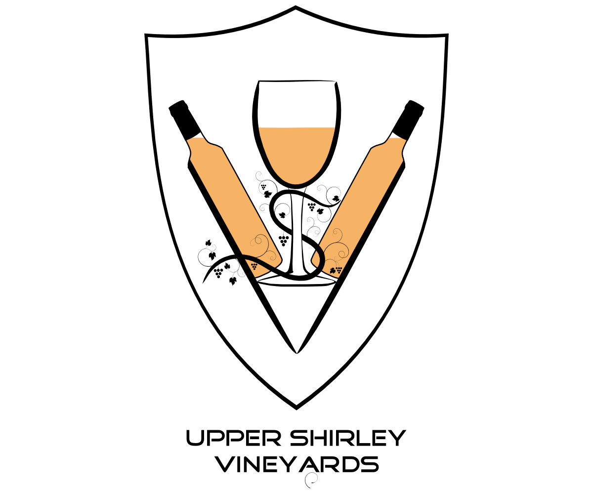 Design de Logo par Sleeping Sun pour ce projet | Design #2874721