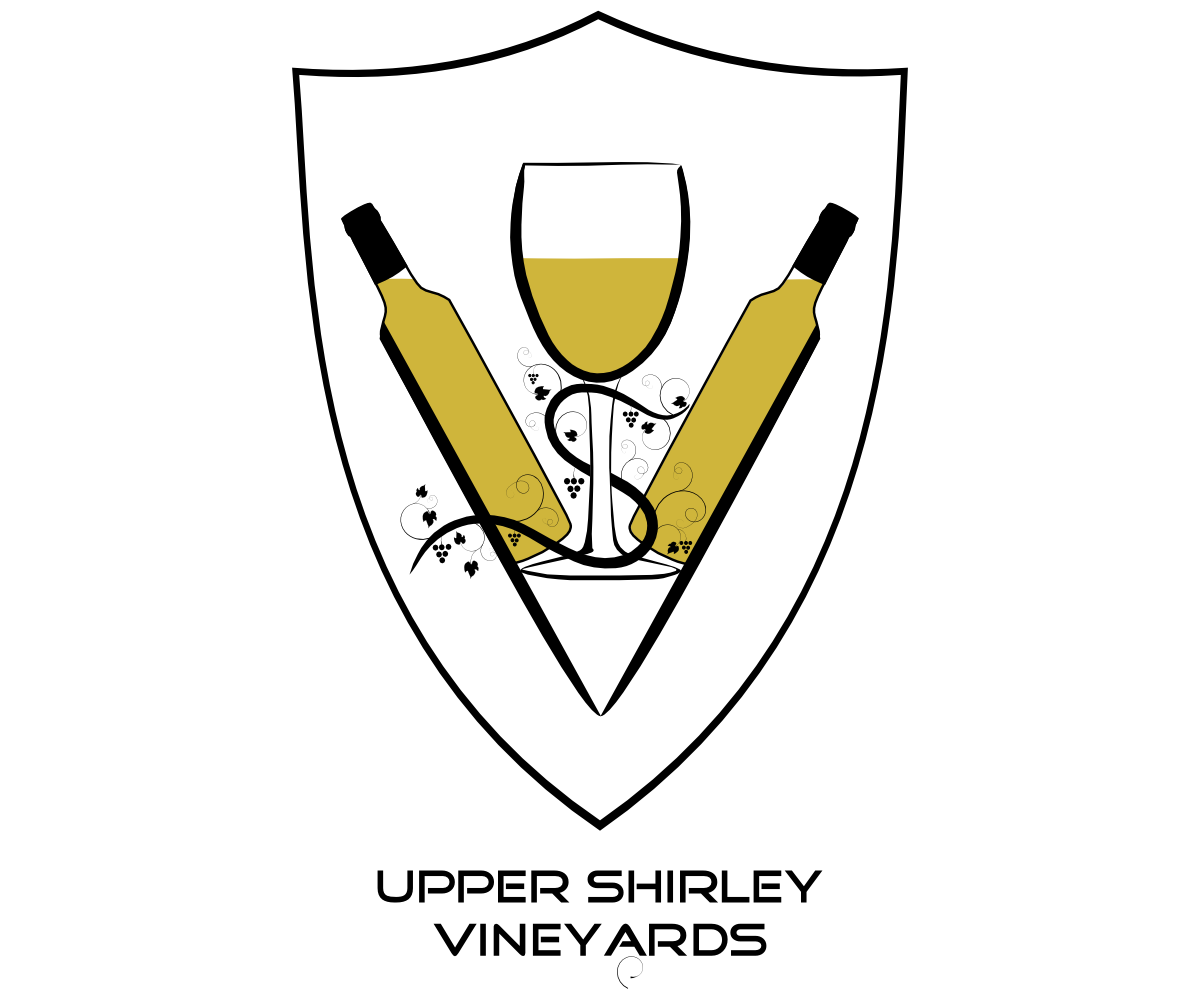 Logo Design by Sleeping Sun for this project | Design #2874723