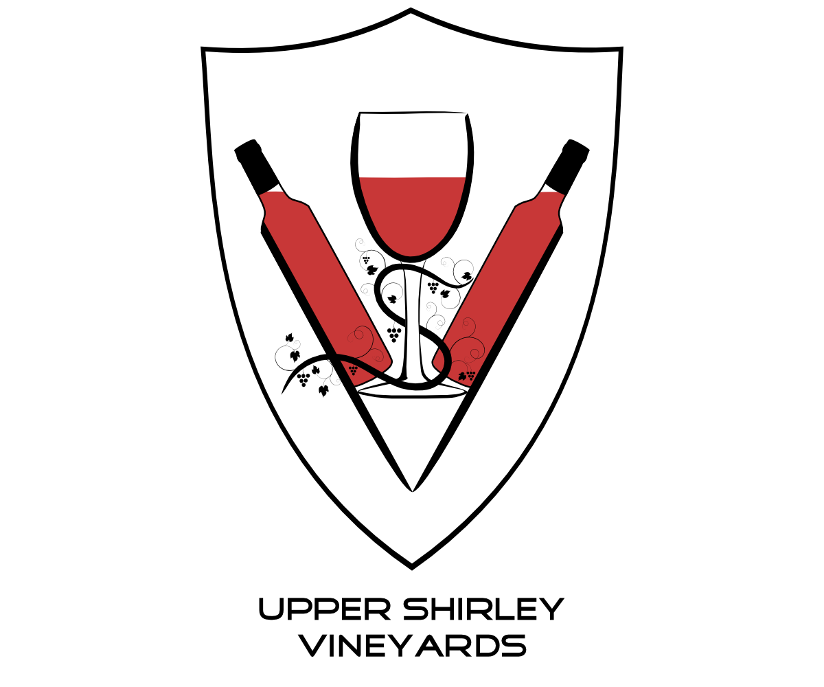 Logo Design by Sleeping Sun for this project | Design #2875784