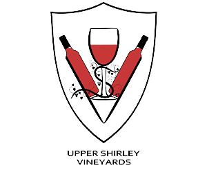 Logo Design by Sleeping Sun for this project | Design #2875789