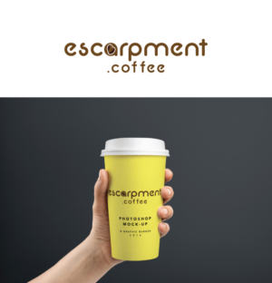 Logo Design by DesignSolution