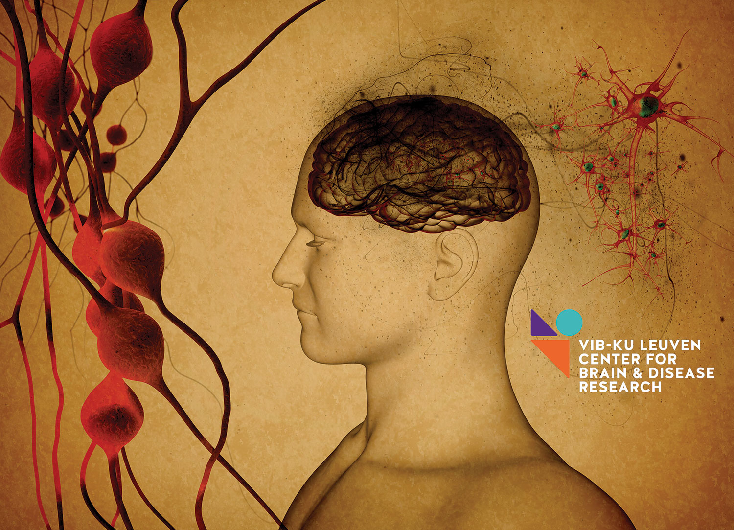 Graphic Design by chetan ghodasara for VIB vzw | Design #18089806