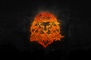 Logo Design by jtcreativity2213 for Now or Never Inc | Design: #18017524