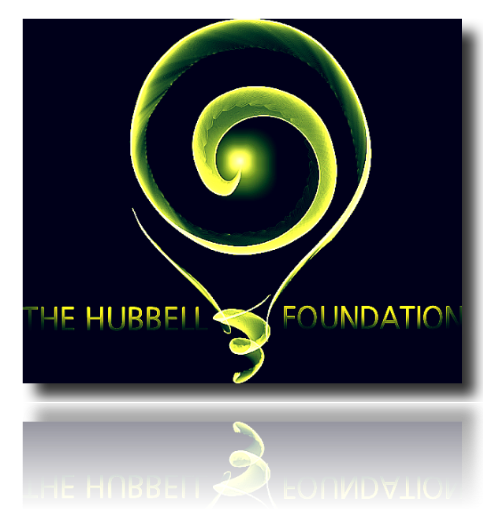Logo Design by ngrosvenor for this project | Design #2812122