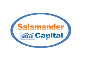 Logo Design by charles_langat