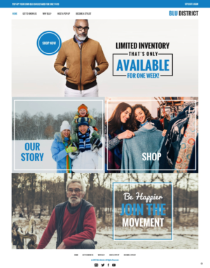 Web Design by pb for Candice Companies LLC | Design: #17956579