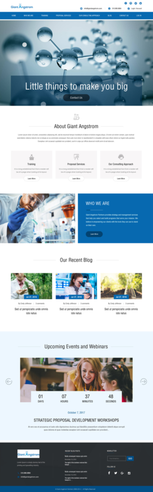 Web Design by Dream Logo Design