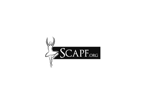 Logo Design by B.Tibéri for this project | Design: #2782667