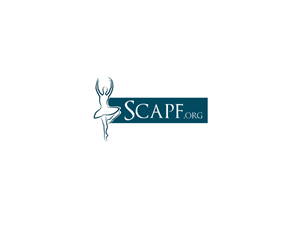 Logo Design by B.Tibéri for this project | Design: #2782672