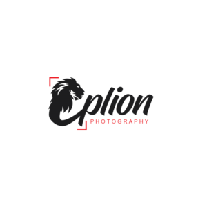 Logo Design by CreativeFlows 2