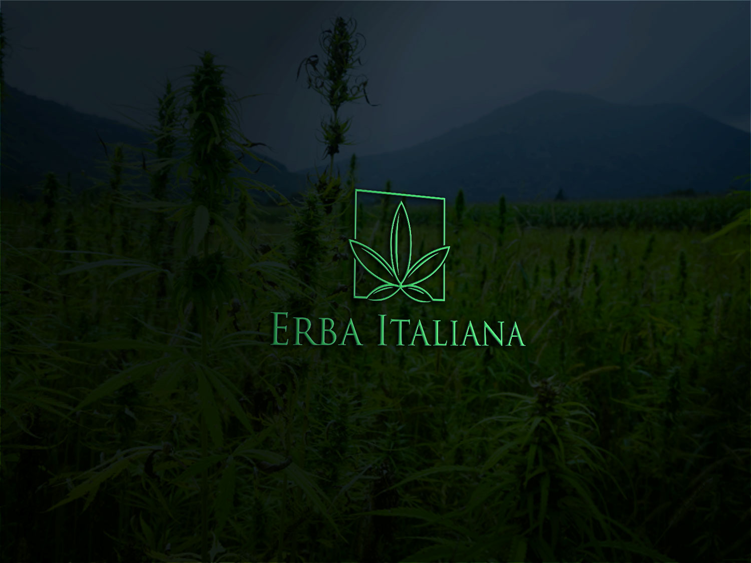Logo Design by Deziners Zone for this project | Design #18255595