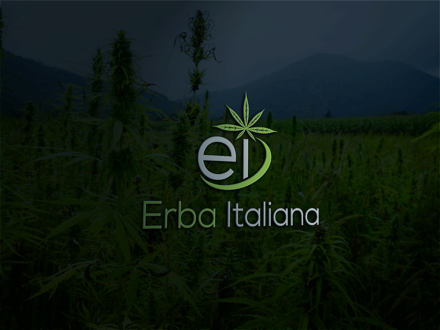 Logo Design by Deziners Zone for this project | Design #18255596