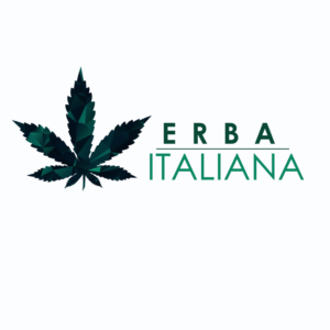 Diseño de Logo por Sarastudioo para este proyecto | Diseño #18304339