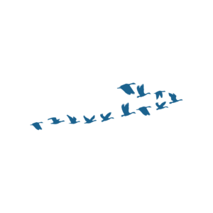 Design de Logo par madein pour Iron Design Roofing | Design : #18052563