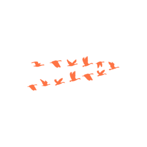 Design de Logo par madein pour Iron Design Roofing | Design : #18052573
