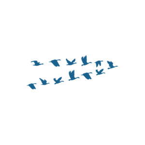 Design de Logo par madein pour Iron Design Roofing | Design : #18052580