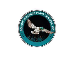 Logo Design by dinug.312