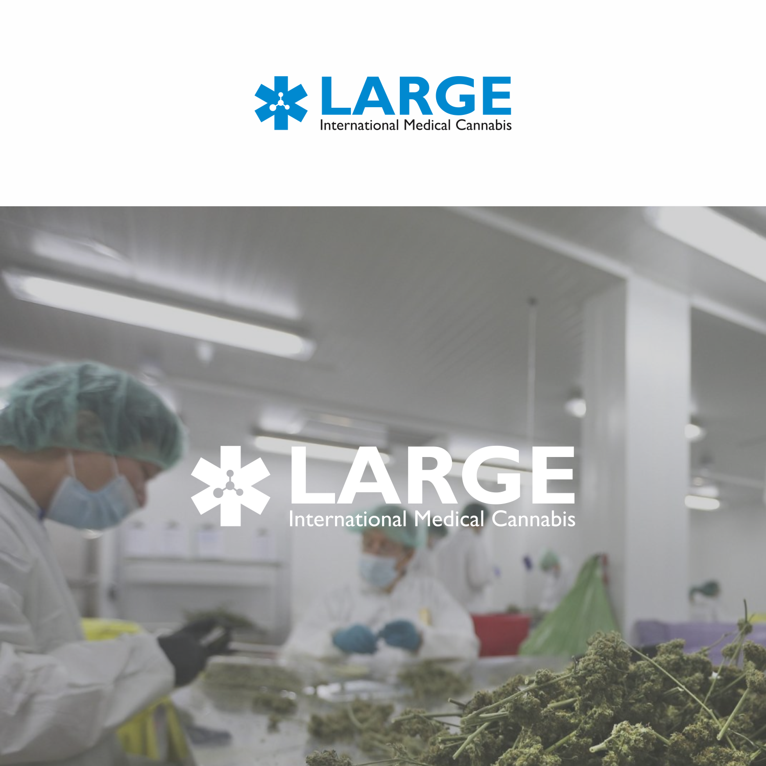 Logo Design by ajiz2 for this project | Design #18241281