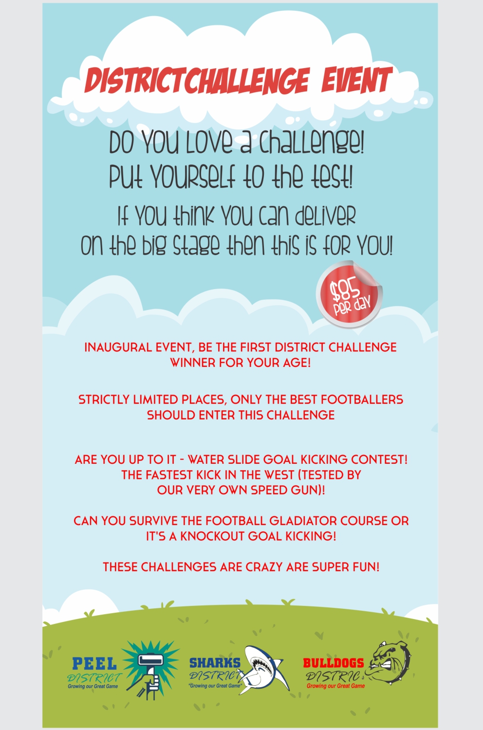 Flyer Design by LCS DESIGNERS for this project | Design #17975974
