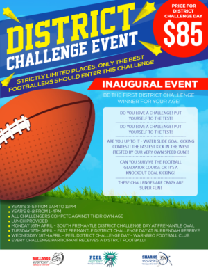 District Challenge Flyer for Holiday Program | Flyer Design by pecgi