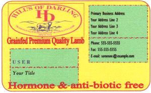 Business Card Design by stevies cartoons