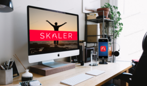 Graphic Design by Expert Designer for Skaler LLC  | Design: #17983306