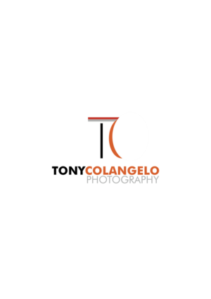 Diseño de Logo por diana popescu para este proyecto | Diseño #18005593