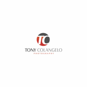 Diseño de Logo por karthika vs para este proyecto | Diseño: #17989959