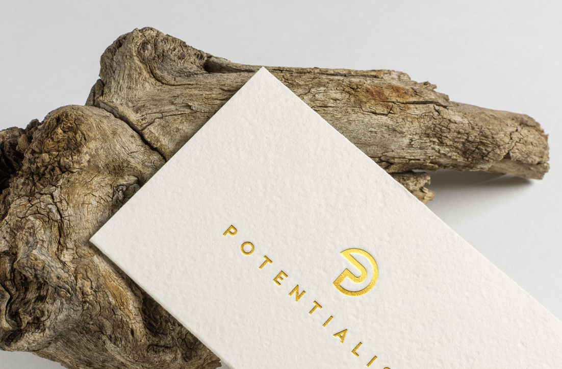 Diseño de Logo por GLDesigns para The Brush Spa | Diseño #17996755