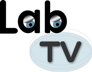 Diseño de Logo por candijam para este proyecto | Diseño: #2790284