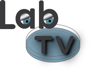Diseño de Logo por candijam para este proyecto | Diseño: #2800582