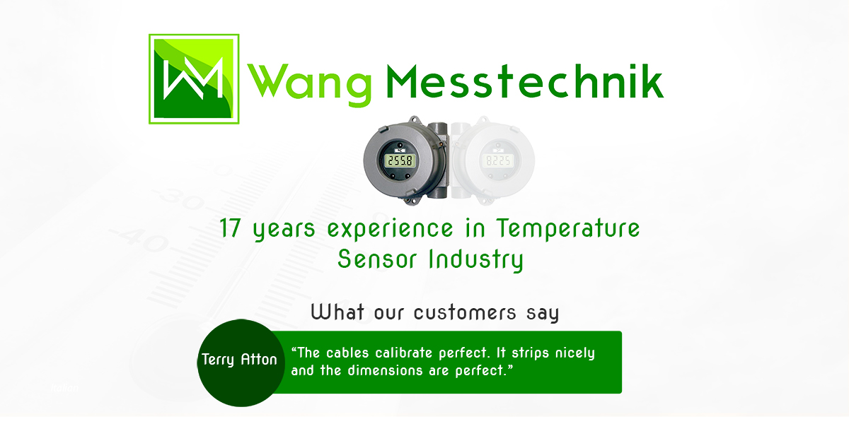 Diseño Publicitario por Murry para  Wang Messtechnik  | Diseño #18007458