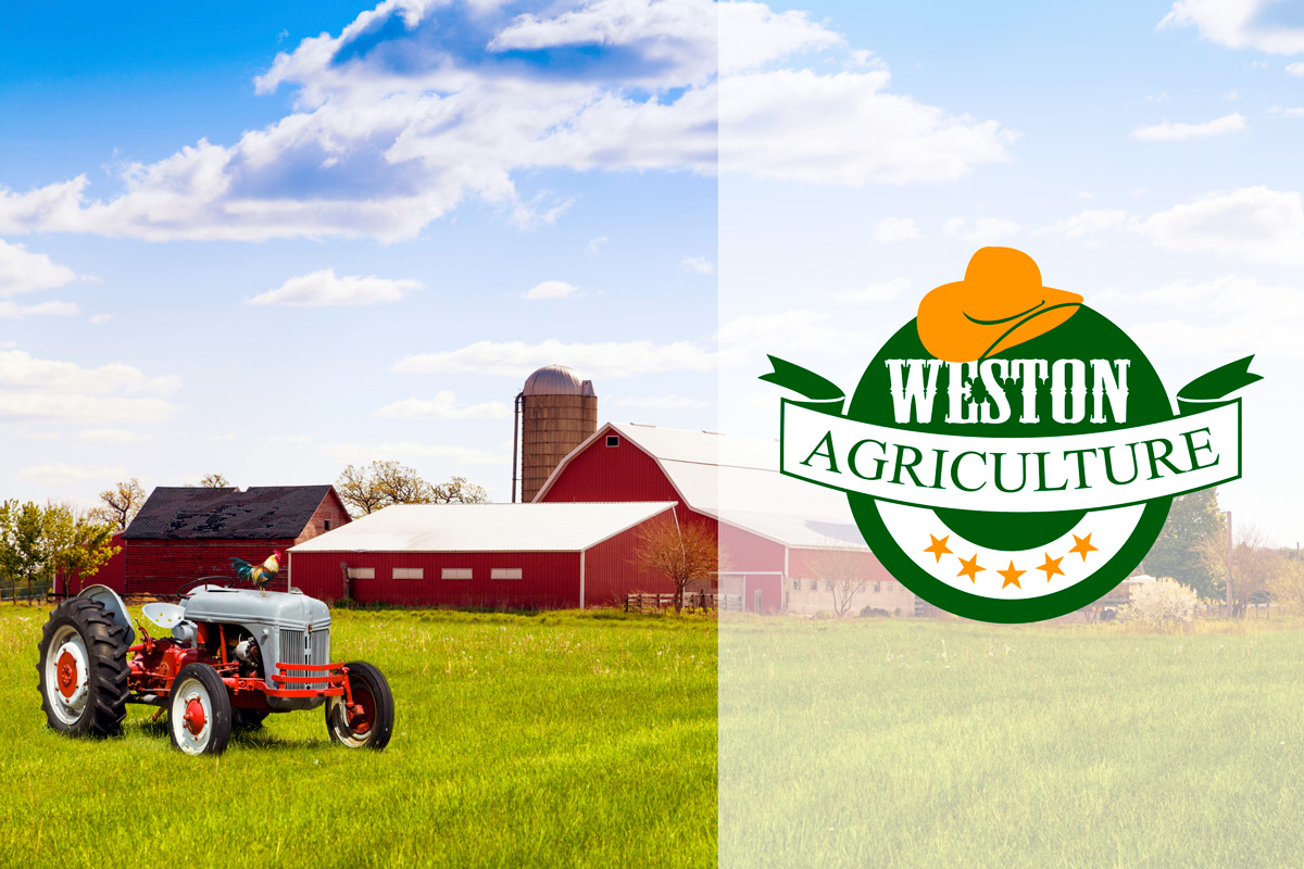 Logo Design by Wonderful design for Weston Agriculture | Design #18006269