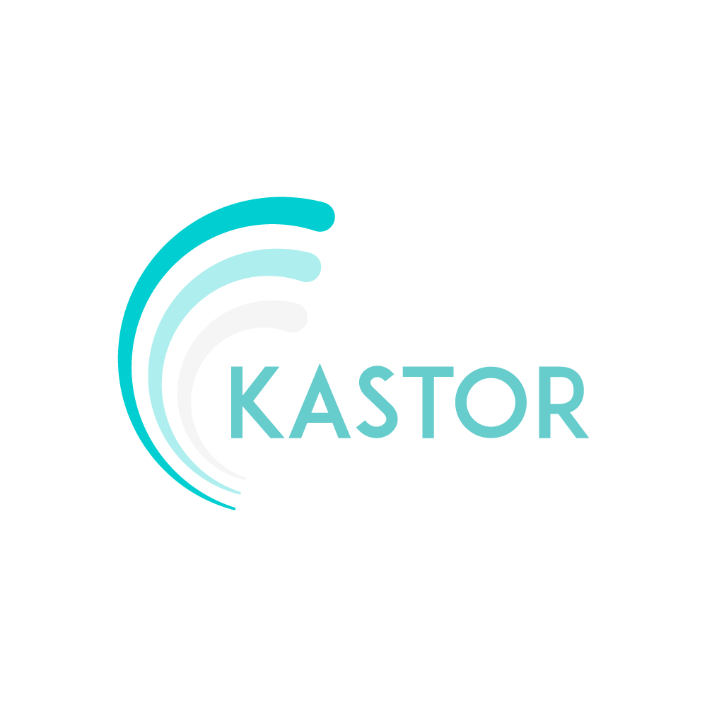 Logo Design by anang3 for Kastor bvba | Design #18043799