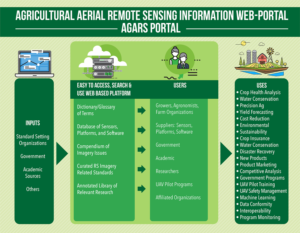 Infographic Design by Pinky 