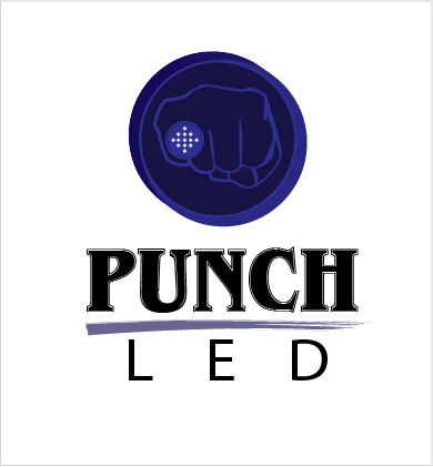 Logo Design by A Swish design for Steve's LEDs, LLC | Design #2786675