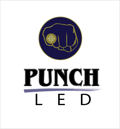 Diseño de Logo por A Swish design para Steve's LEDs, LLC | Diseño #2787268