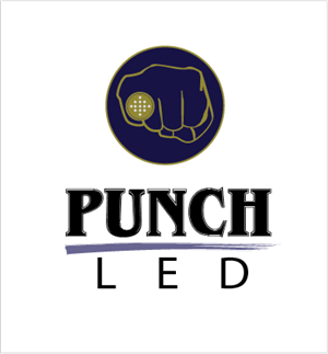 Logo-Design von A Swish design für Steve's LEDs, LLC | Design: #2787268