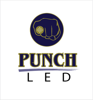 Logo-Design von A Swish design für Steve's LEDs, LLC | Design: #2787278