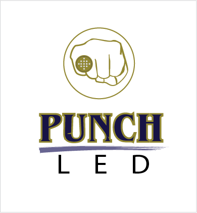 Diseño de Logo por A Swish design para Steve's LEDs, LLC | Diseño #2787298