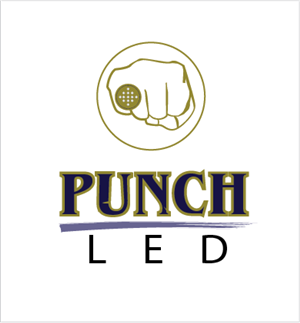 Logo-Design von A Swish design für Steve's LEDs, LLC | Design: #2787298