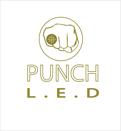 Logo-Design von A Swish design für Steve's LEDs, LLC | Design #2787372