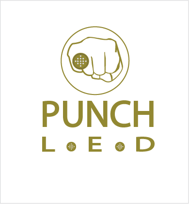 Logo Design by A Swish design for Steve's LEDs, LLC | Design #2787398