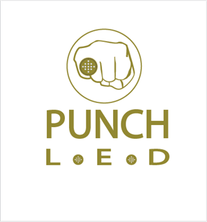 Logo Design by A Swish design for Steve's LEDs, LLC | Design: #2787398