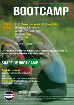 Flyer Design by HamzaMalik for this project | Design #18077372