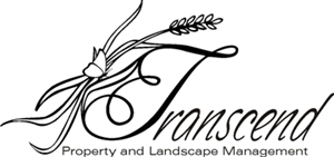 Logo Design by LD for this project | Design: #655639