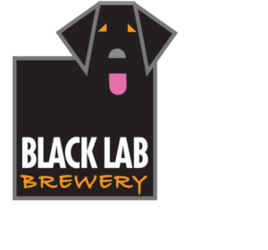 Logo Design by hansi